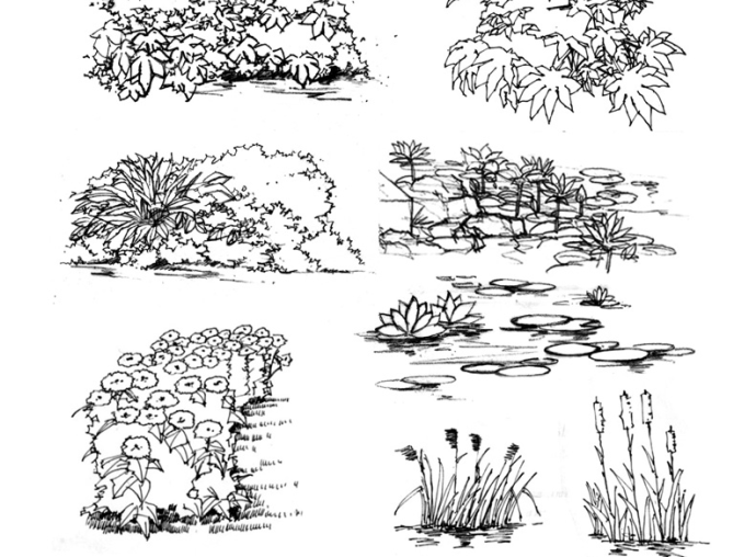 35张手绘配景练习示例(植物人物小品)