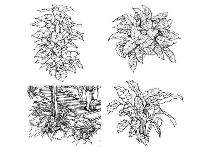 35张手绘配景练习示例(植物人物小品)-手绘配景练习示例2