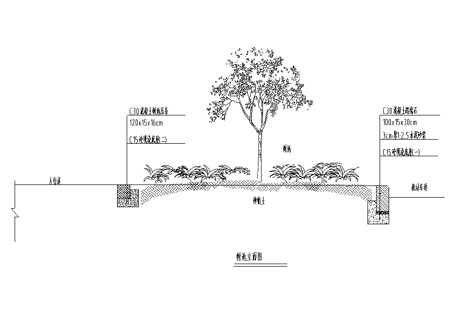 新建道路绿化工程图纸_预算表_招标文件2020-树池立面图
