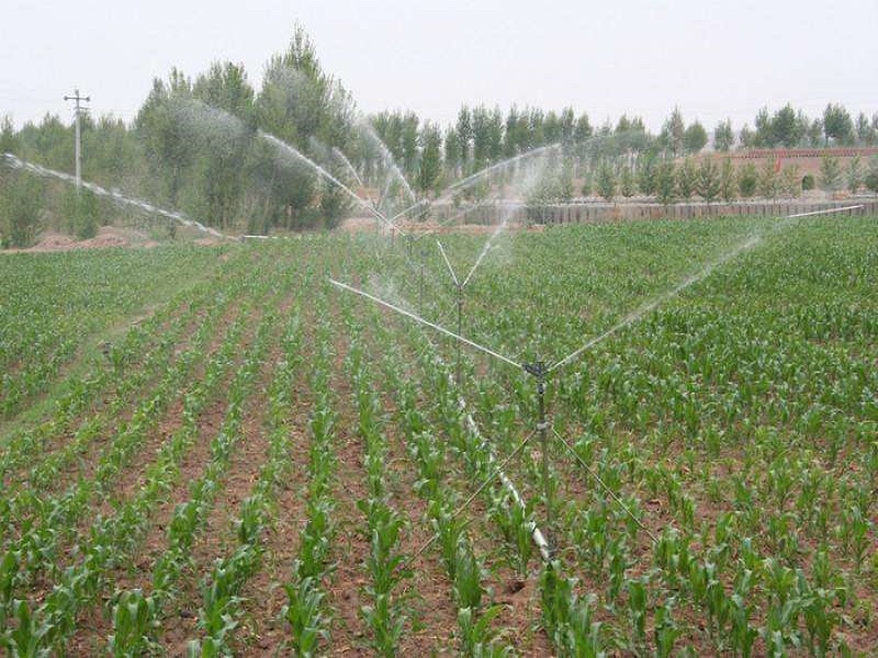 农田水利节水灌溉施工组织设计-喷灌工程
