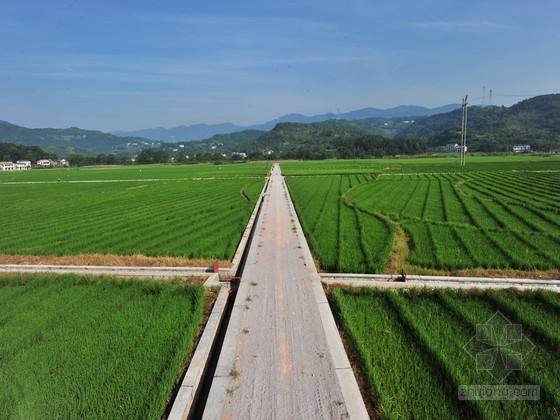 农田建设项目监理质量评估报告