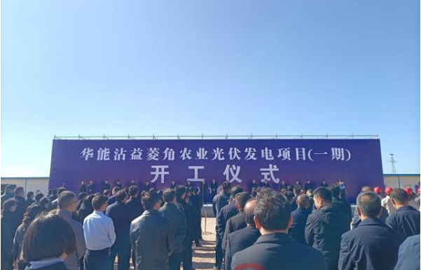 图片9.png