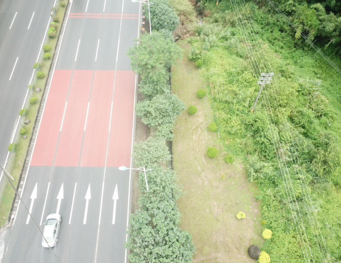 公路沿线绿化景观改造工程可行性研究报告