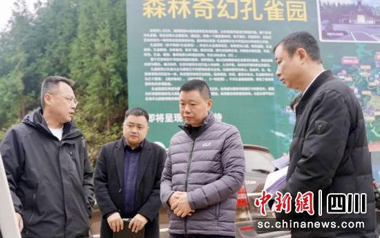 调研检查现场。雨城融媒 供图